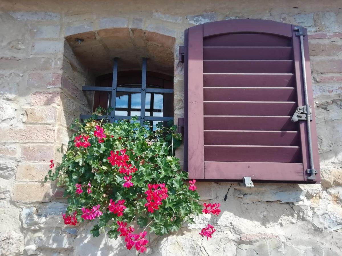Poggio Massiccioli Apartment ปอจจิบองซี ภายนอก รูปภาพ